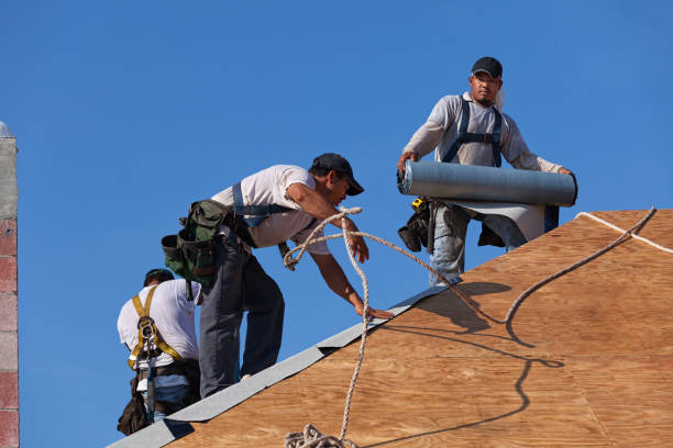 Best Commercial Roofing Services  in Brownsboro, TX